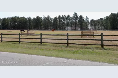 116 Shagbark Court, West End, NC 27376 - Photo 67