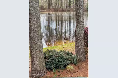 576 Tralee Drive, Smithfield, NC 27577 - Photo 35