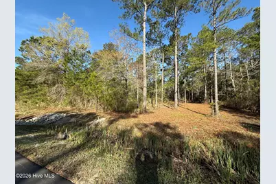 125 Shell Castle Lane, Vandemere, NC 28587 - Photo 3