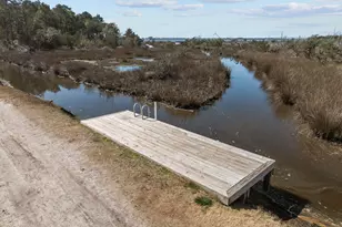 133 Delray Ct, Sneads Ferry, NC 28460 - Photo 49