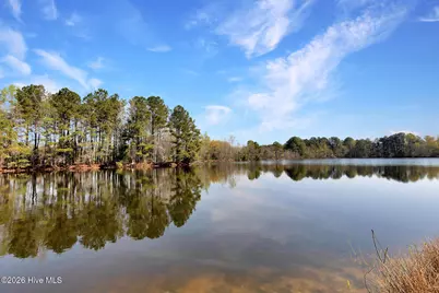 4609 Lobelia Road, Vass, NC 28394 - Photo 33