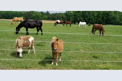 2639 Nc Highway 211, Clarkton, NC 28433 - Photo 35