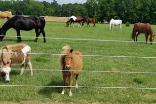 2639 Nc Hwy 211, Clarkton, NC 28433 - Photo 35