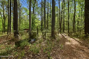2639 Nc Hwy 211, Clarkton, NC 28433 - Photo 83