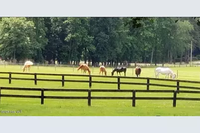 2639 Nc Highway 211, Clarkton, NC 28433 - Photo 15