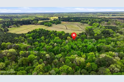 2639 Nc Highway 211, Clarkton, NC 28433 - Photo 89