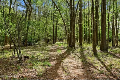 2639 Nc Highway 211, Clarkton, NC 28433 - Photo 63