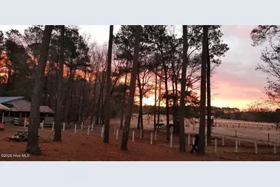 2639 Nc Highway 211, Clarkton, NC 28433 - Photo 7