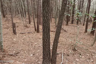 0 Rawls Church Road Road, Fuquay Varina, NC 27526 - Photo 11