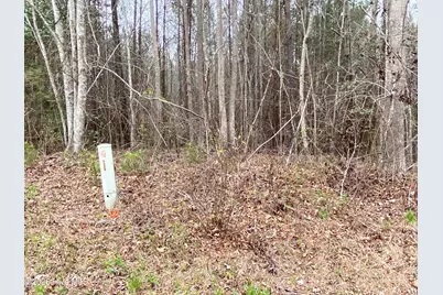 0 Rawls Church Road Road, Fuquay Varina, NC 27526 - Photo 21