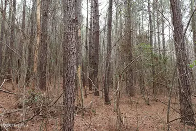 0 Rawls Church Road Road, Fuquay Varina, NC 27526 - Photo 5