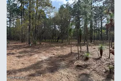 27 Birkdale Way, Pinehurst, NC 28374 - Photo 15