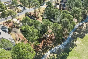 1715 Mute Swan Ln SE, Bolivia, NC 28422 - Photo 93