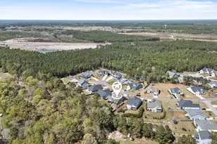 375 Canter Crst Rd, Hampstead, NC 28443 - Photo 59