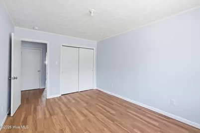 210 Oak Ridge Church Road, Hamlet, NC 28345 - Photo 35