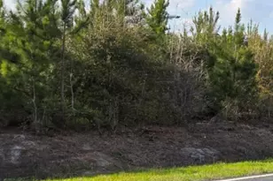 Near 731 Macedonia Church Rd, Evergreen, NC 28438 - Photo 1
