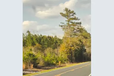Near 731 Macedonia Church Road, Evergreen, NC 28438 - Photo 3