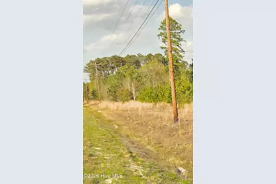 Near 731 Macedonia Church Road, Evergreen, NC 28438 - Photo 3
