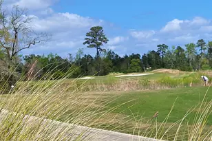 1319 Star Grass Wy, Leland, NC 28451 - Photo 39