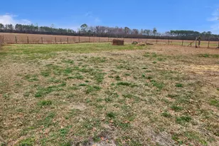 1780 Dan Peele Rd, Williamston, NC 27892 - Photo 5