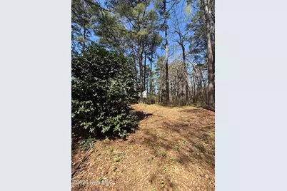 6484 Prison Camp Road, Williamston, NC 27892 - Photo 11