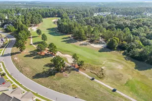 415 Kerr Lake Rd, Aberdeen, NC 28315 - Photo 45