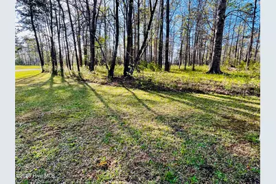 256 Winding Creek Drive, Oriental, NC 28571 - Photo 1