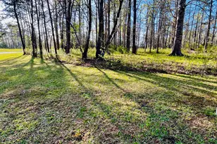 256 Winding Creek Dr, Oriental, NC 28571 - Photo 1