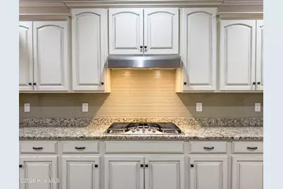 167 Hydrangea Lane, Hampstead, NC 28443 - Photo 17
