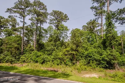 3014 Oakley Circle, Castle Hayne, NC 28429 - Photo 5