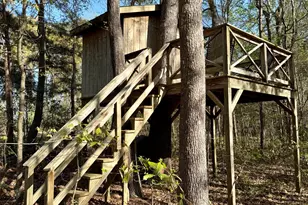1285 Bear Grass Rd, Williamston, NC 27892 - Photo 27
