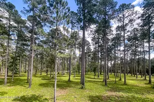 1005 Youngs Rd, Vass, NC 28394 - Photo 107