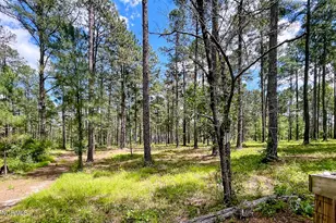 1005 Youngs Rd, Vass, NC 28394 - Photo 17