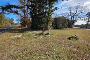 1081 Red Bug Rd, Hallsboro, NC 28442 - Photo 7