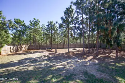 3025 Dana Lane, Aberdeen, NC 28315 - Photo 33