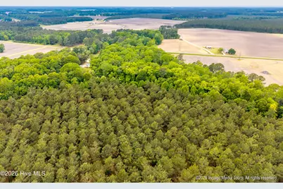 1952 Whichard Cherry Lane Road, Stokes, NC 27884 - Photo 59