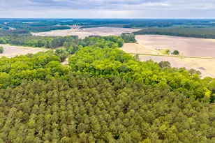 1952 Whichard Cherry Lane Rd, Stokes, NC 27884 - Photo 59