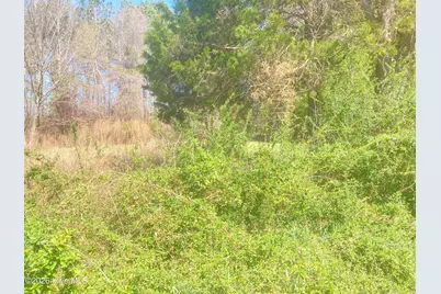 1586 Gum Swamp Church Road, Greenville, NC 27834 - Photo 95