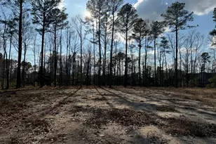 59 Paint Ln, Hertford, NC 27944 - Photo 1