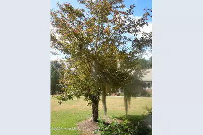 78 Aj Lane, Tabor City, NC 28463 - Photo 103