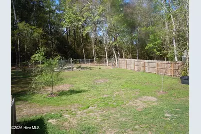 78 Aj Lane, Tabor City, NC 28463 - Photo 85