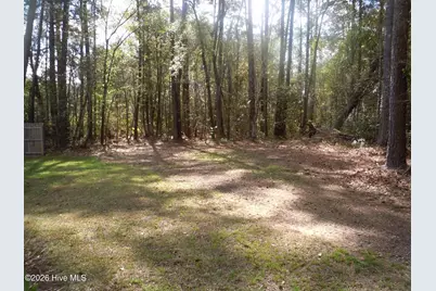 78 Aj Lane, Tabor City, NC 28463 - Photo 107