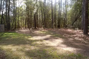78 Aj Ln, Tabor City, NC 28463 - Photo 107