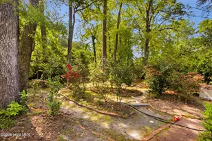 3536 Canterbury Rd, Trent Woods, NC 28562 - Photo 43