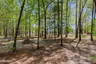 161 Paul Dr, Trenton, NC 28585 - Photo 29