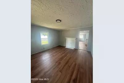 17761 Saint Johns Church Road, Laurel Hill, NC 28351 - Photo 3
