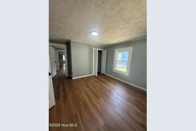 17761 Saint Johns Church Road, Laurel Hill, NC 28351 - Photo 11