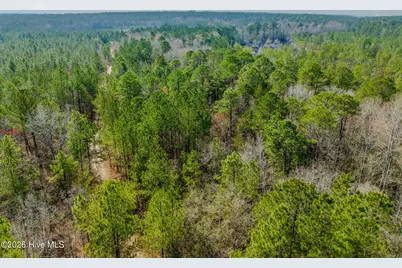 0 Lobelia Road, Vass, NC 28394 - Photo 39