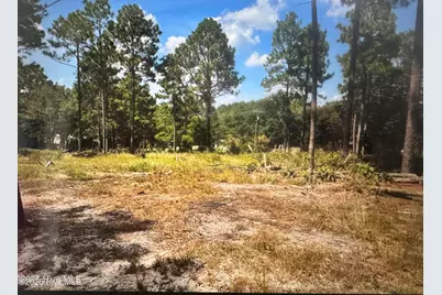 000 Wiregrass Road, Hamlet, NC 28345 - Photo 3