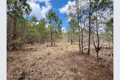 0 Guinea Mill Road, Ernul, NC 28527 - Photo 17
